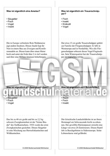 Quiz-Karten-Tiernamen 58.pdf